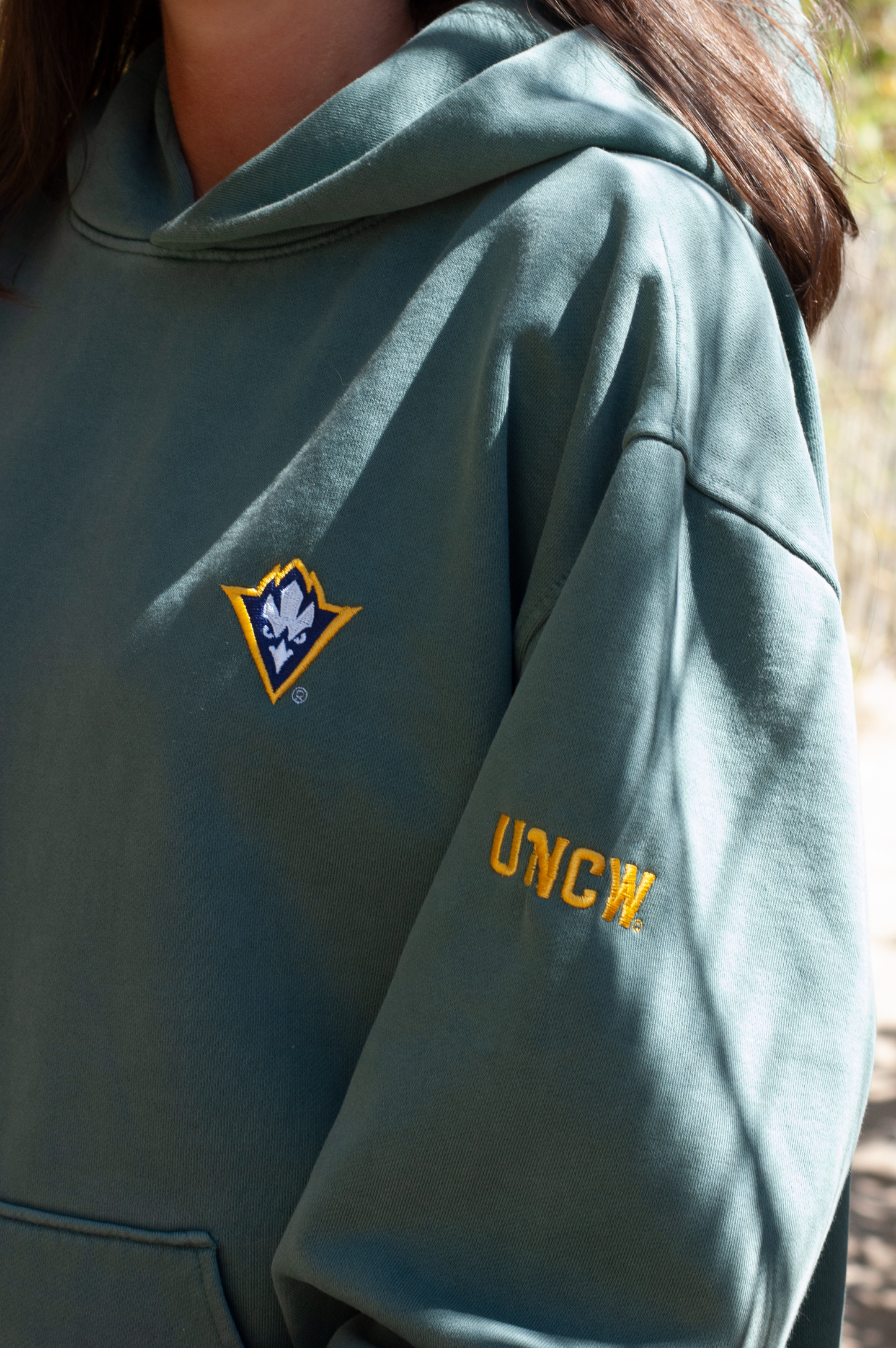UNCW Seahawk Badge Cropped Oversized Hoodie